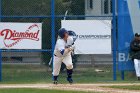 Baseball vs Babson  Wheaton College Baseball vs Babson during NEWMAC Championship Tournament. - (Photo by Keith Nordstrom) : Wheaton, baseball, NEWMAC